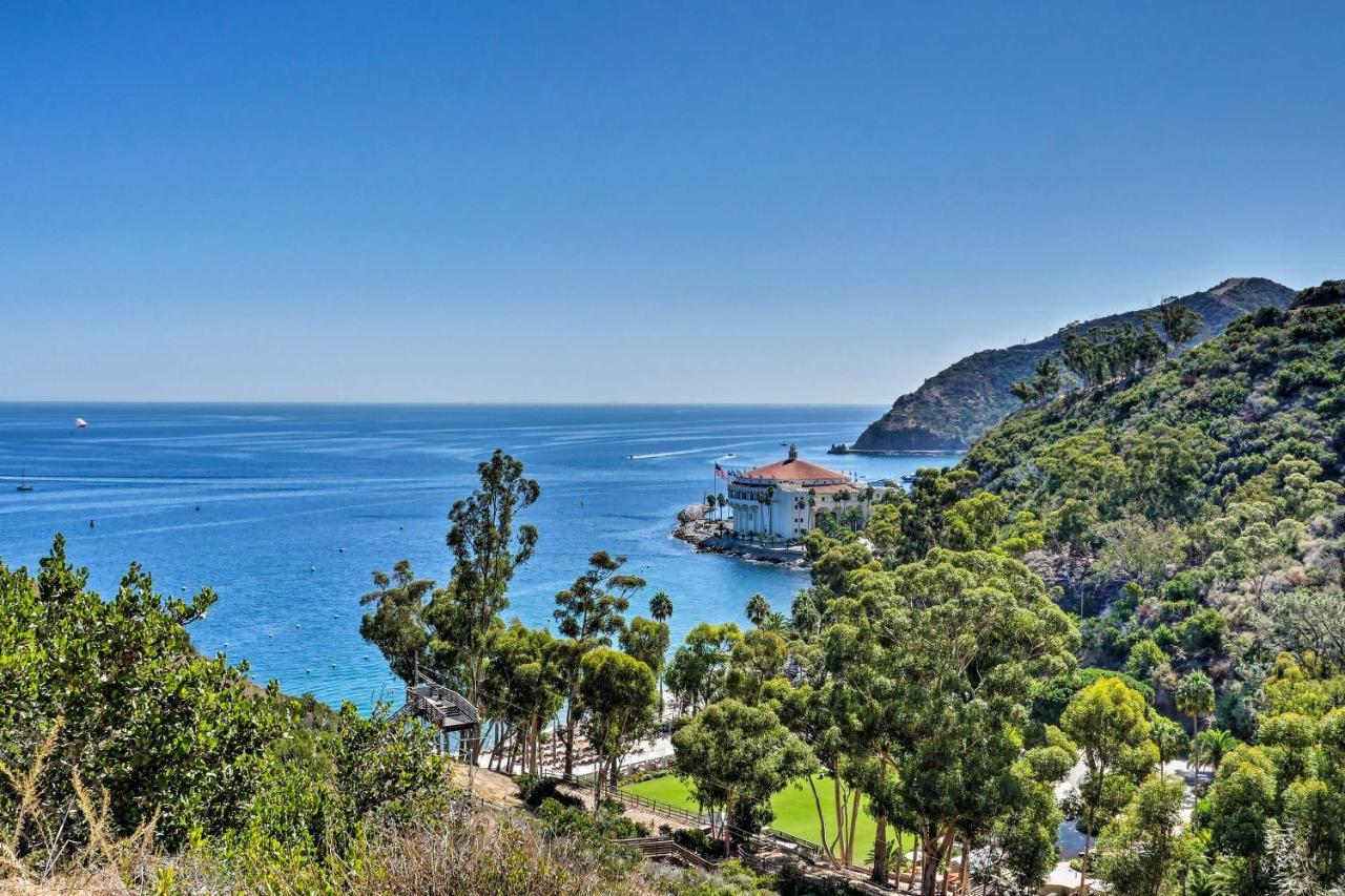 Lux Oceanfront Penthouse Suite Wpanoramic Views Avalon Exterior foto